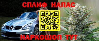 соль ск Славгород