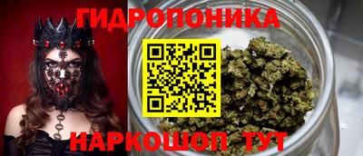 метадон Сланцы